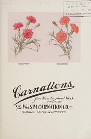Carnations, fine New England stock