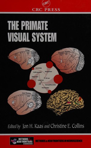 The primate visual system
