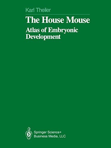 The house mouse