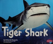 Tiger shark