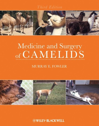 Medicine and surgery of camelids