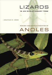 Lizards in an evolutionary tree