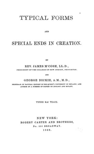 Typical forms and special ends in creation
