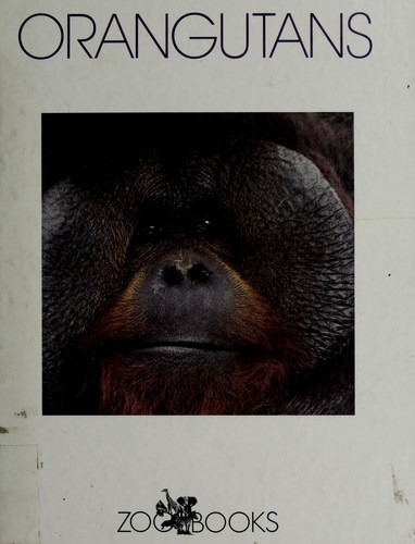 Orangutans