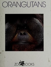 Orangutans