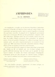 Amphipodes