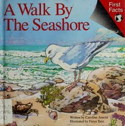 A walk by the seashore