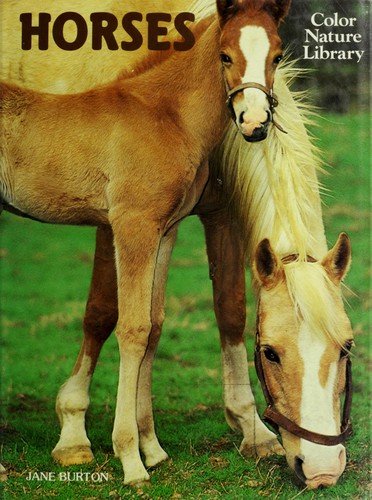 Horses