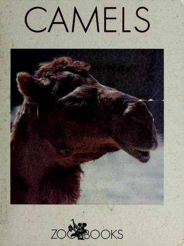 Camels