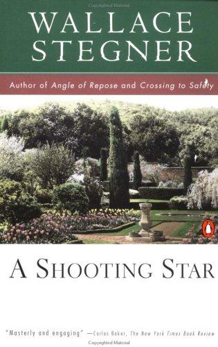 A shooting star