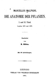 Die Anatomie der Pflanzen