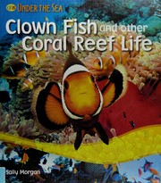Clown fish and other coral reef life
