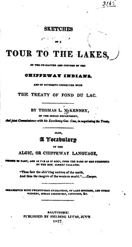 Sketches of a Tour to the Lakes