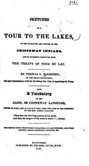 Sketches of a Tour to the Lakes