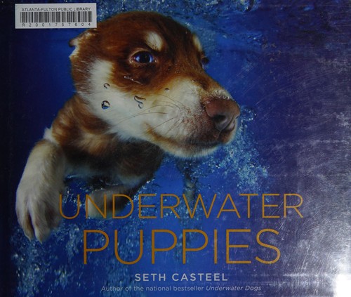 Underwater puppies