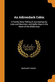 An Adirondack Cabin
