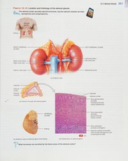 Introduction to the human body