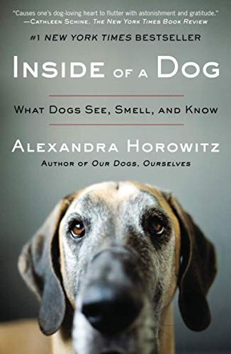Inside of a dog