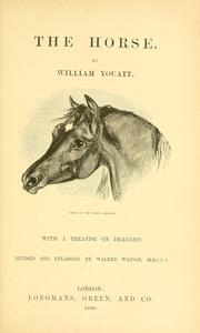The horse