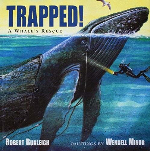 Trapped!