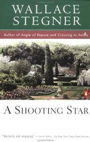 A shooting star